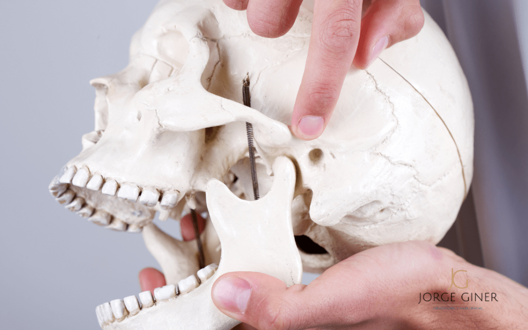 articulacion temporo mandibular